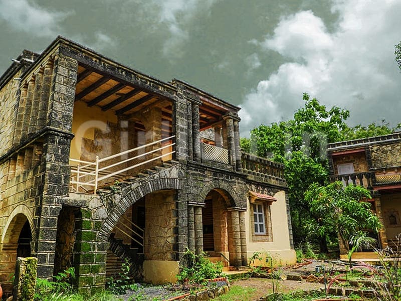 Jungle Lodge Maneland